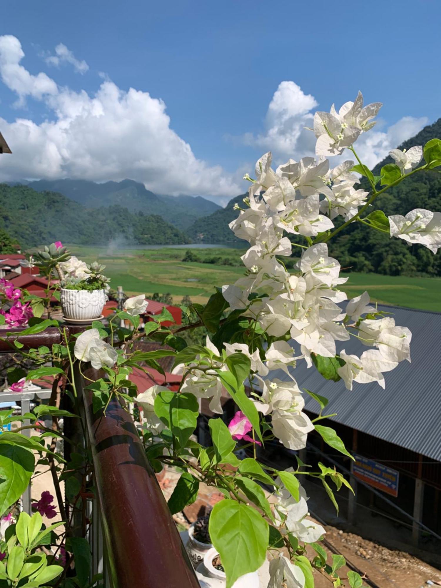 Hoang Nguyen Homestay Ba Be Exteriör bild